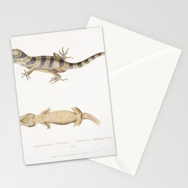 Beautiful Cyrtodactylus (Cyrtodactylus pulchellus) Stationery Card