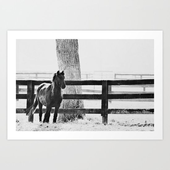 horse by the fence Art Print