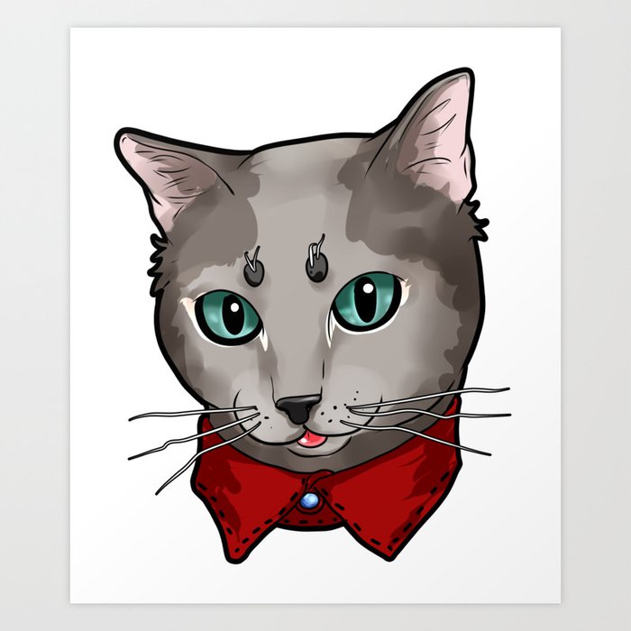 russian blue cat cute