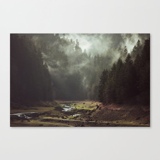 Foggy Forest Creek Canvas Print