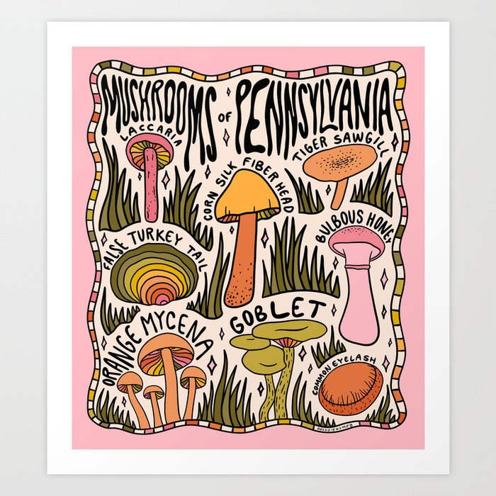 Mushrooms of Pennsylvania Art Print