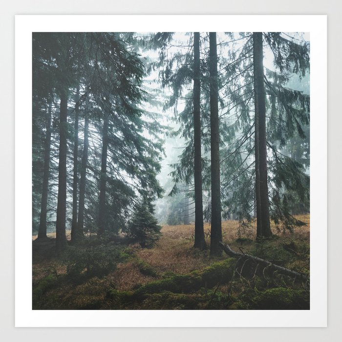 Art Print
