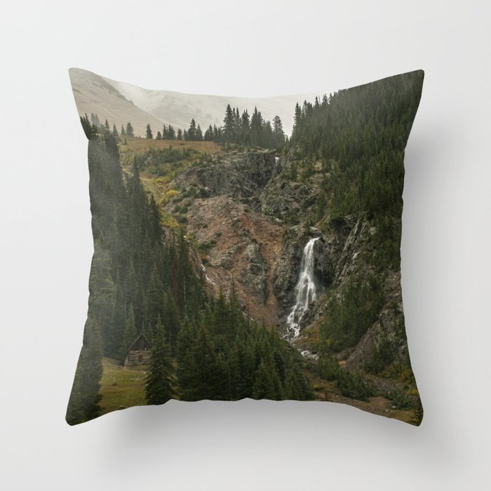 Throw Pillow