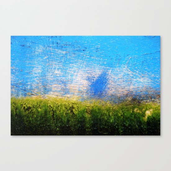 Algae Canvas Print