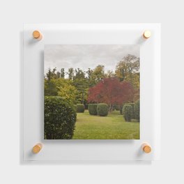 Spain Photography - Beautiful Garden With Hedges And Trees  Floating Acrylic Print