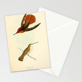 Ruby-Topaz Hummingbird by William Swainson, 1841 (benefitting the Nature Conservancy) Stationery Card