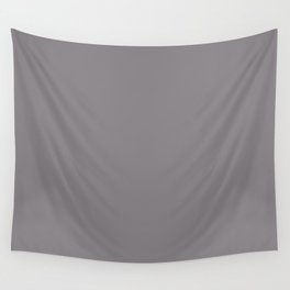 Medium Gray / Grey Solid Color Pairs Valspar America Cinder Fox 4001-2B Wall Tapestry