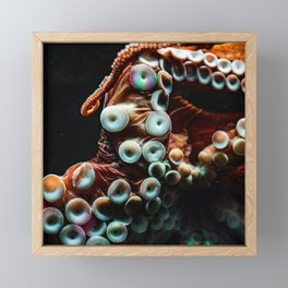 Octopus Tentacles  Framed Mini Art Print