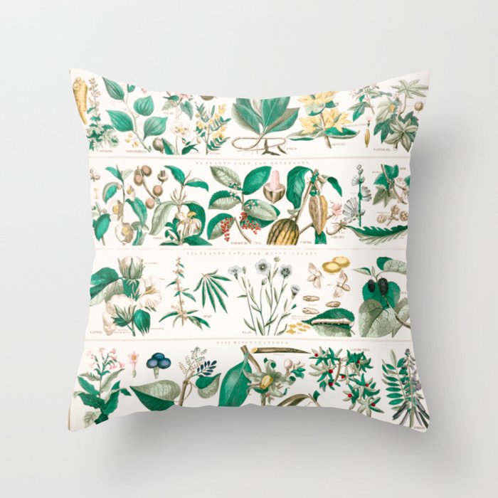 Digitally enhanced School and family charts, No. XXII. Botanical: economical uses of plants  Throw Pillow