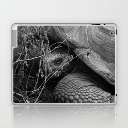 Peek a boo - Giant Galapagos Tortoise portrait Laptop Skin