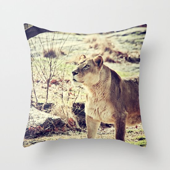 Something Caught His Eye Throw Pillow