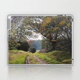 On a cloudy day Laptop & iPad Skin