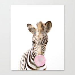 Baby Zebra Blowing Bubble Gum by Zouzounio Art Canvas Print