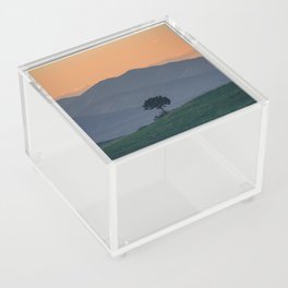 Lone Tree against Colorful Sunset Acrylic Box