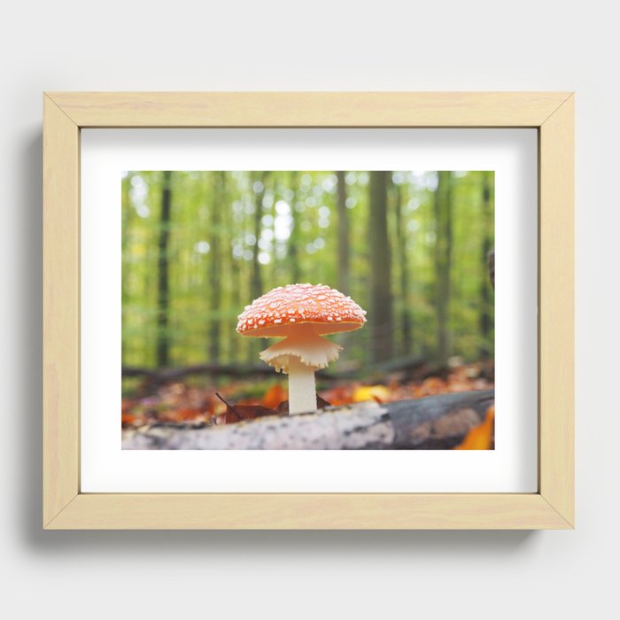 Lucky fly agaric Recessed Framed Print