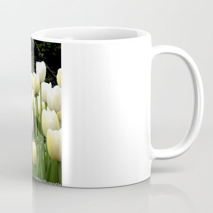 Tulip Fields Coffee Mug
