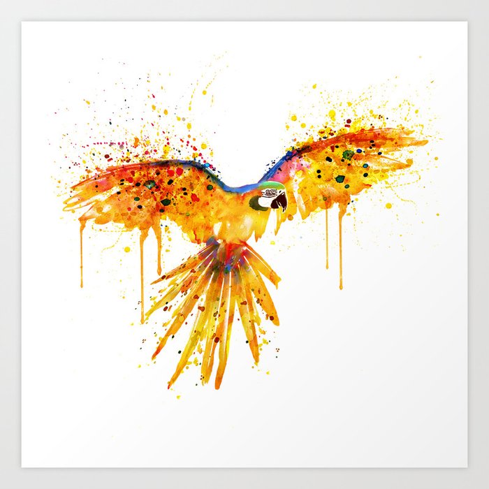Flying Parrot watercolor Art Print