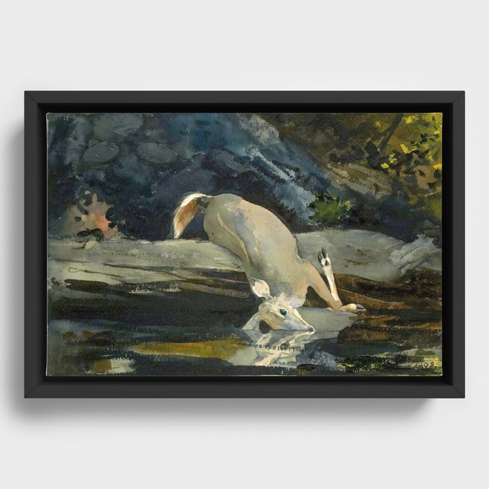 Framed Canvas