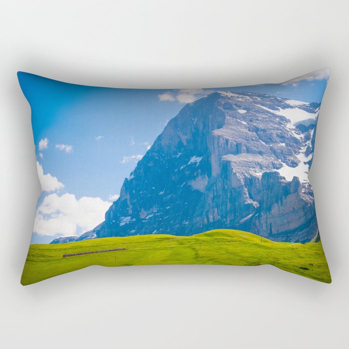 Swiss Express Rectangular Pillow