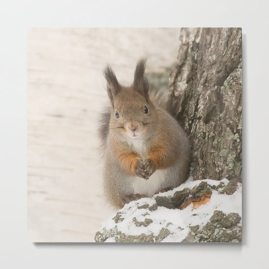 Hi there - what's up? Metal Print