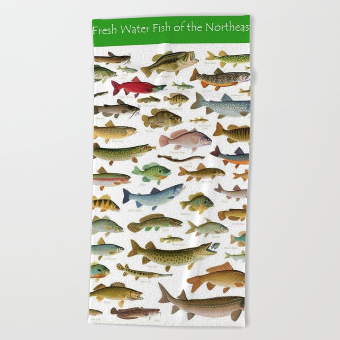 Illustrated Northeast Game Fish Identification Chart Beach Towel