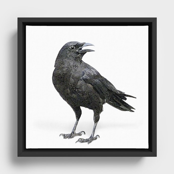 Black Crow Framed Canvas