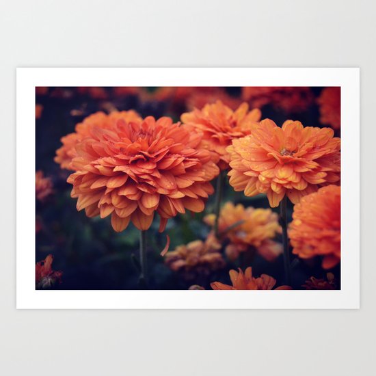 Sweet Orange Art Print