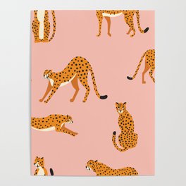 Cheetahs pattern on pink Poster