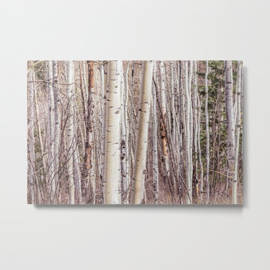 Aspen Metal Print