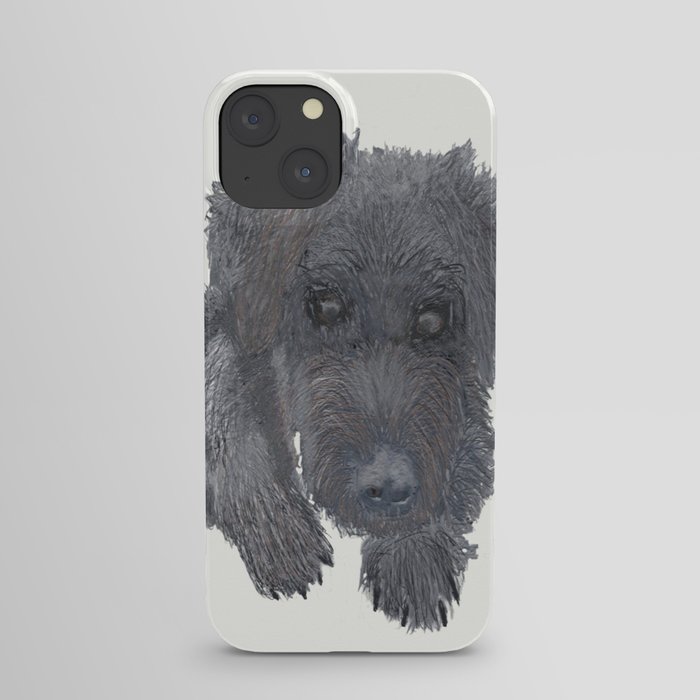 Schnoodle iPhone Case