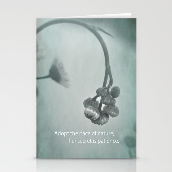 Patient Nature Stationery Cards