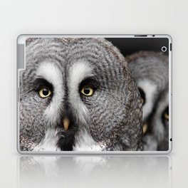 Great Grey Owls  Laptop Skin
