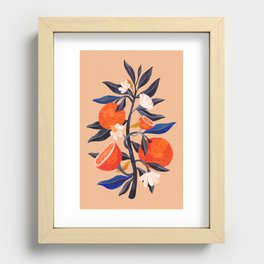 Orange Tree, Botanical Painting Recessed Framed Print