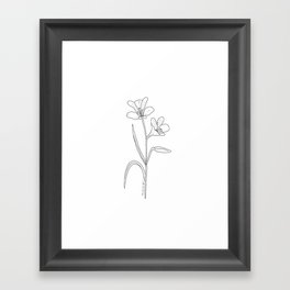 Amancay - Patagonian wildflower Framed Art Print