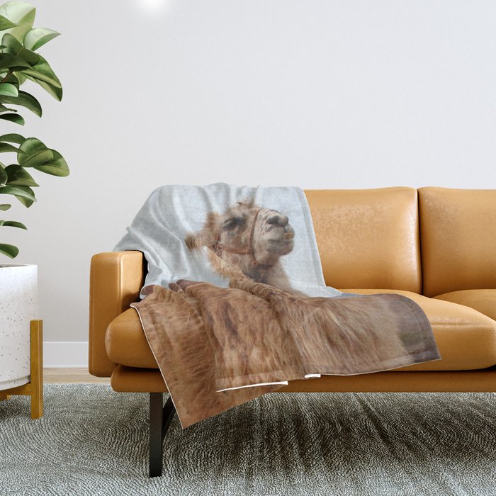 Argentina Photography - Llama In The Mountain Filled Desert Throw Blanket