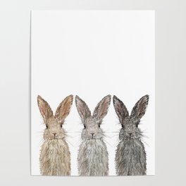 Triple Bunnies Poster