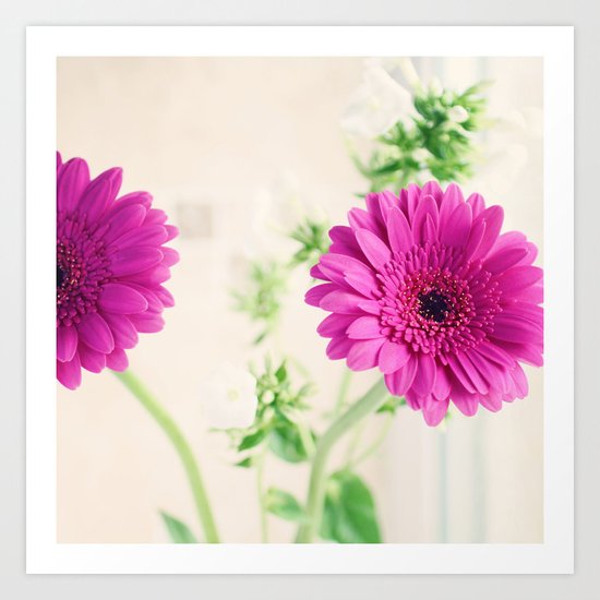 Gerberas and Phlox Art Print