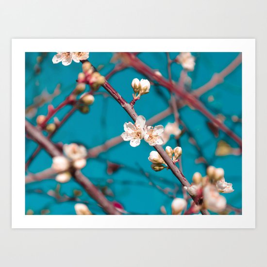 Blooming Art Print