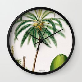 Coconut palm from "Flore d’Amérique" by Étienne Denisse, 1840s Wall Clock