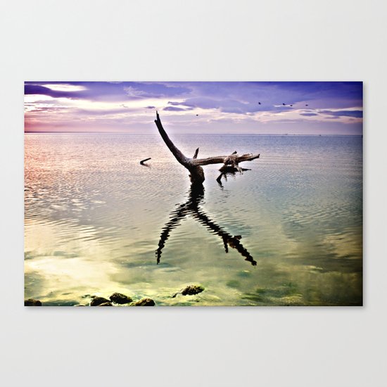 Salton Sea Canvas Print