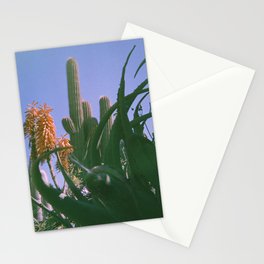 Cactus Cooler Stationery Cards