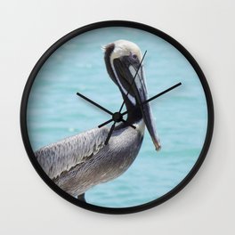 Florida Pelican Wall Clock