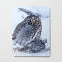 Owl. Owl Couple. Owl Winter Art.  Metal Print | Owlbirthday, Cuteowl, Nightowl, Loveowls, Ownandmoon, Adorableowl, Owlwithbow, Owlmandala, Owlwithflowers, Owllove 