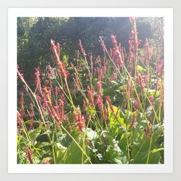 pink flower on green stem Art Print