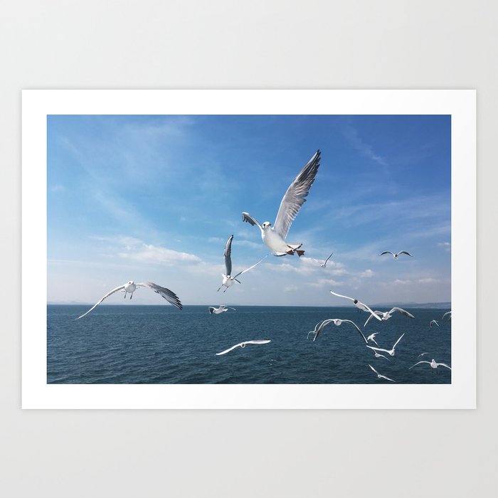 Seagulls Or Birds Flying Above The Ocean In A Clear Blue Sky Art Print By Ivodebruijn