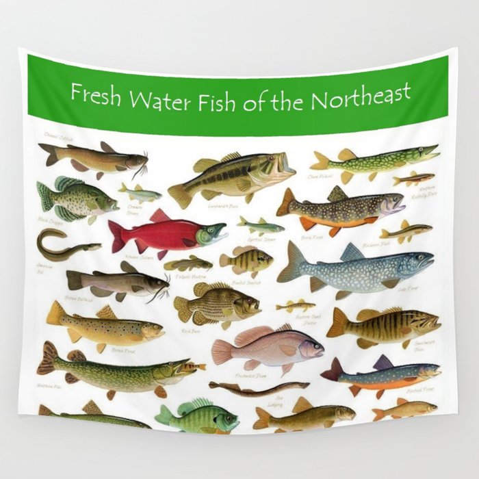 Illustrated Northeast Game Fish Identification Chart Wall Tapestry