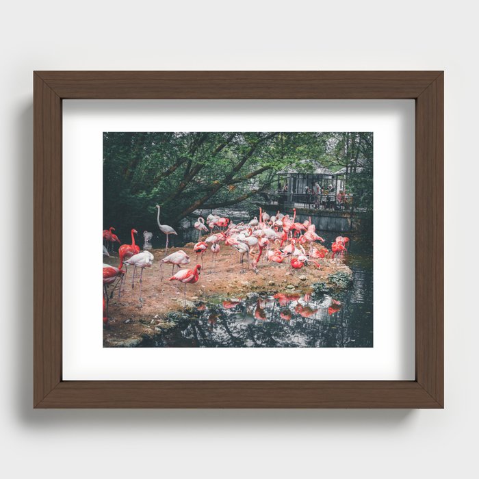 Flamingos by the Lake: The Graceful Wonders of Nature's Pink Beauties Recessed Framed Print