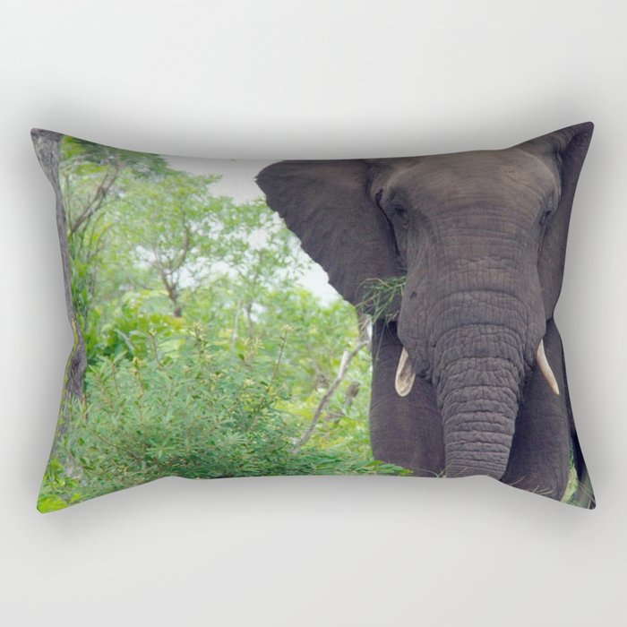 South Africa Photography - Elephant Walking Through The Forest Rectangular Pillow