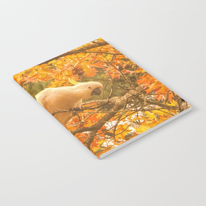 Autumn Melody Notebook
