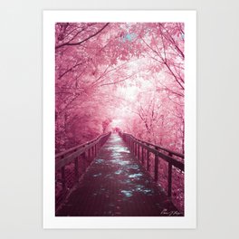 bridge of dreams - pink Art Print